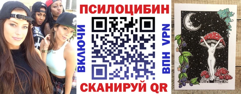 Псилоцибиновые грибы Psilocybine cubensis  Купить где  Ветлуга 